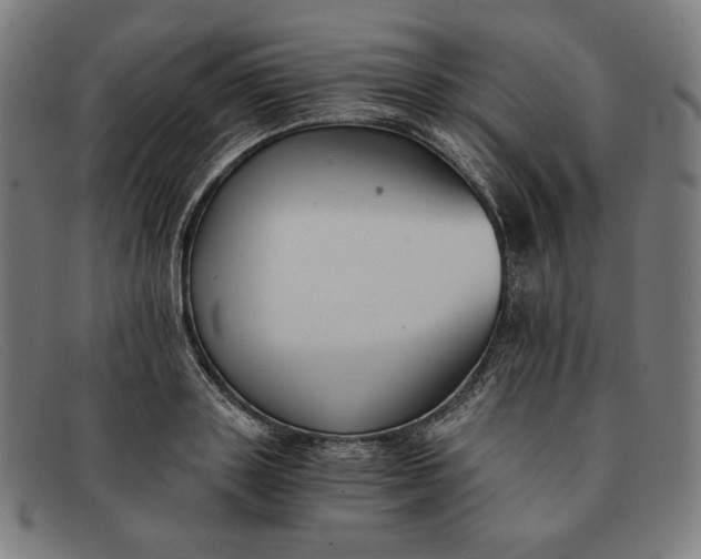 X0000091300843200708311335