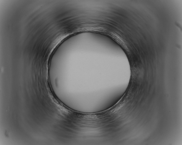 X0000091300844200708311335