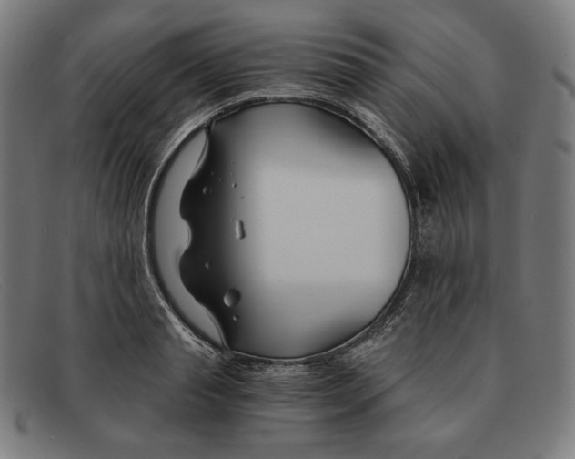 X0000091300845200708311335