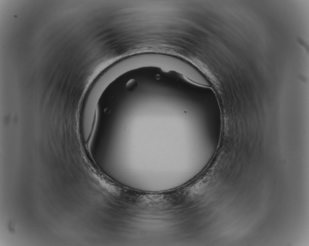 X0000091300846200708311335