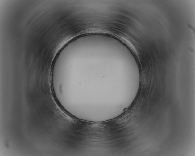 X0000091300847200708311335