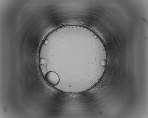 X0000091300848200708311335