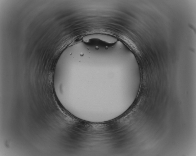 X0000091300849200708311335