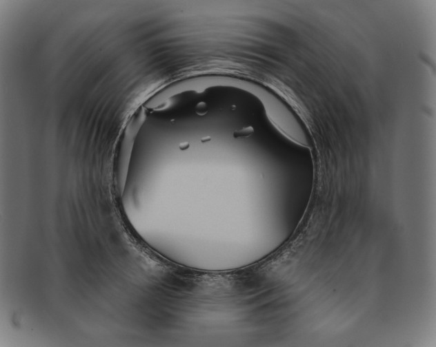 X0000091300850200708311335