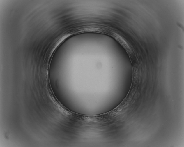 X0000091300852200708311335