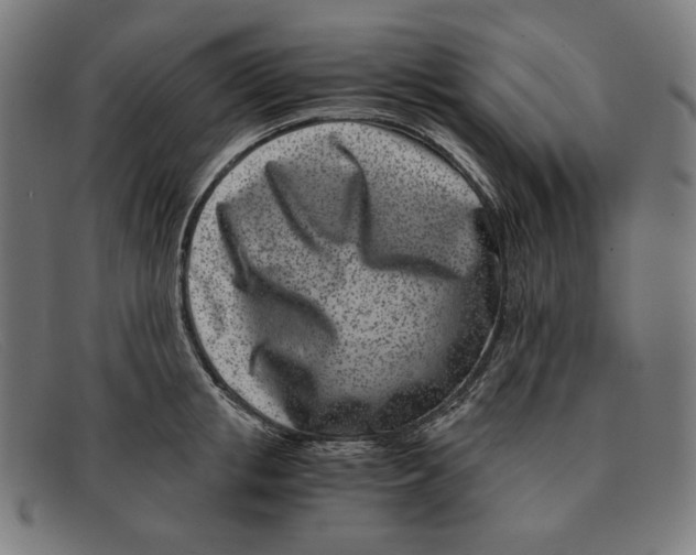 X0000091300853200708311335