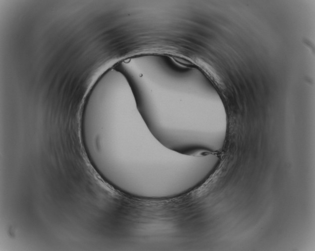 X0000091300854200708311335