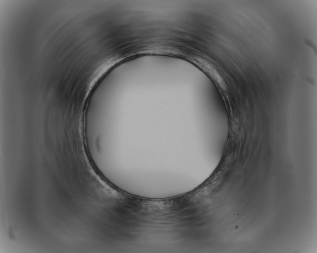 X0000091300855200708311335