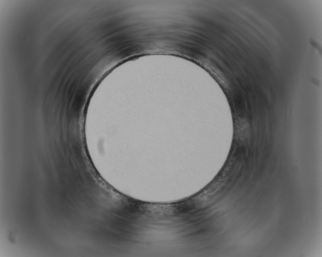 X0000091300856200708311335