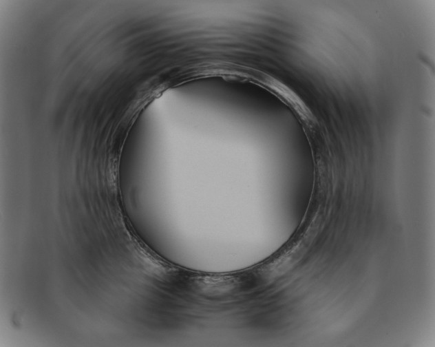 X0000091300857200708311335