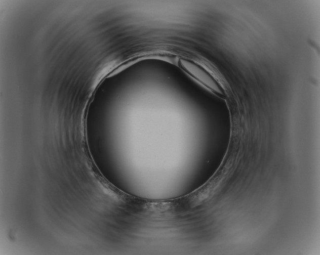 X0000091300858200708311335