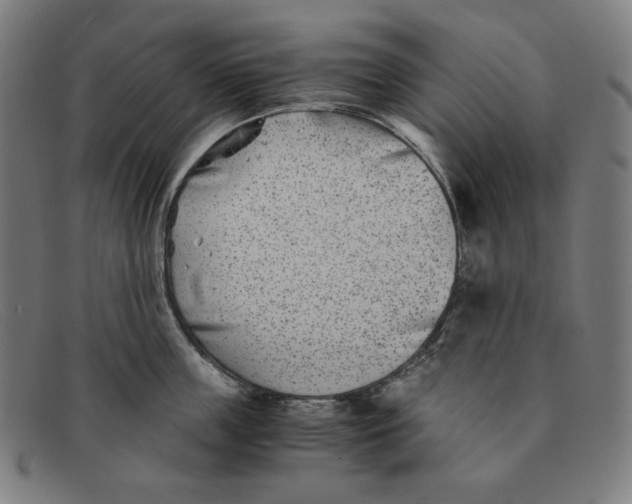 X0000091300859200708311335