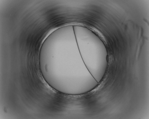 X0000091300860200708311335