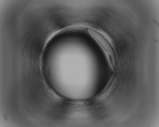 X0000091300862200708311335