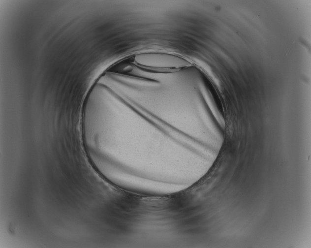 X0000091300863200708311335