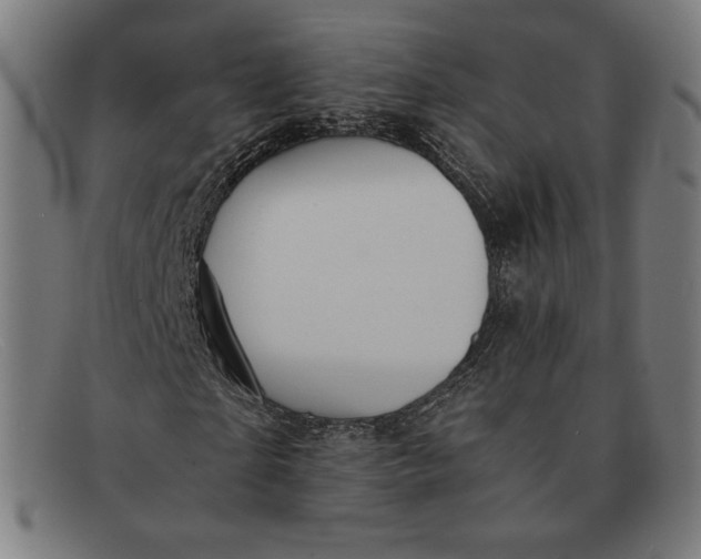 X0000091300865200708311335