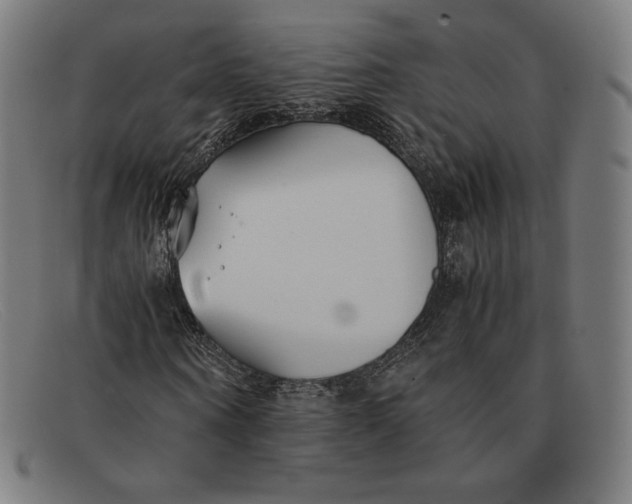 X0000091300866200708311335