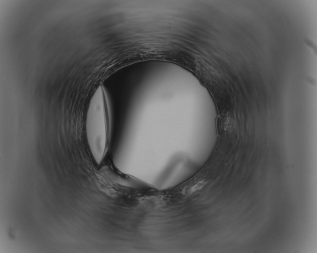 X0000091300868200708311334