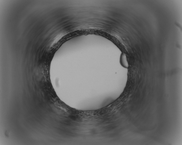 X0000091300871200708311334