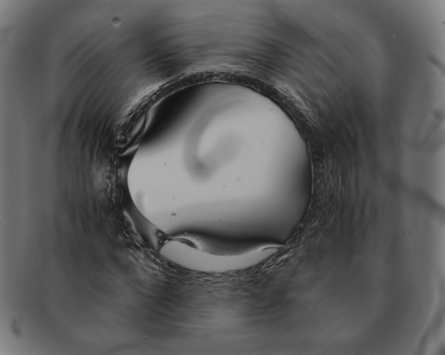 X0000091300872200708311334