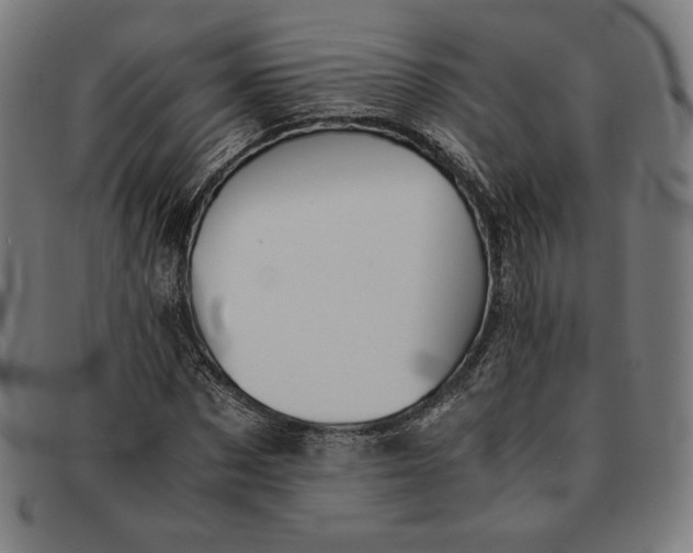 X0000091300873200708311334