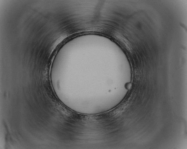 X0000091300875200708311334