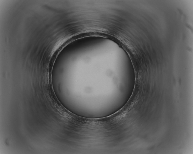 X0000091300877200708311334