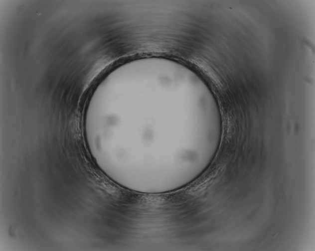 X0000091300878200708311334