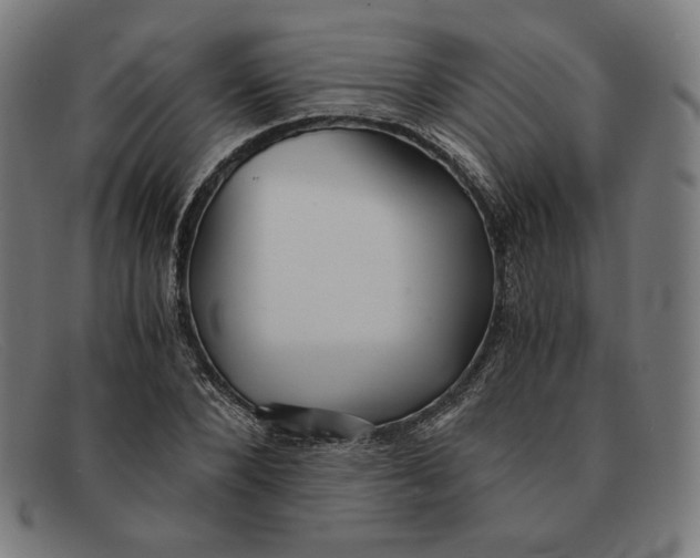 X0000091300880200708311334