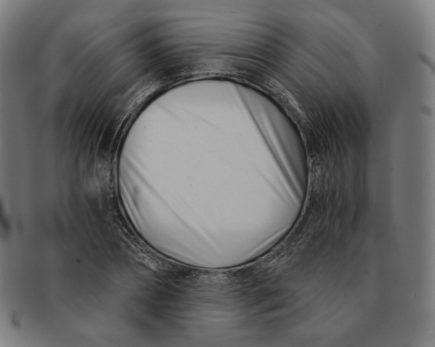 X0000091300882200708311334