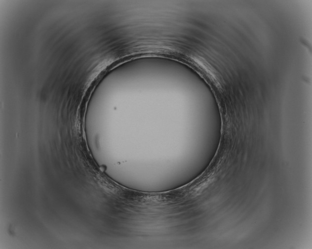 X0000091300883200708311334