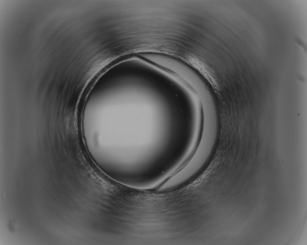 X0000091300884200708311334