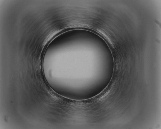 X0000091300885200708311334