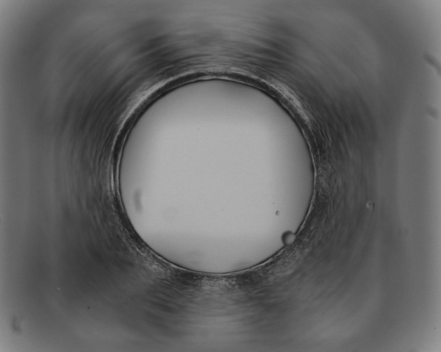 X0000091300887200708311334