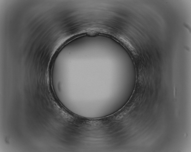 X0000091300888200708311334