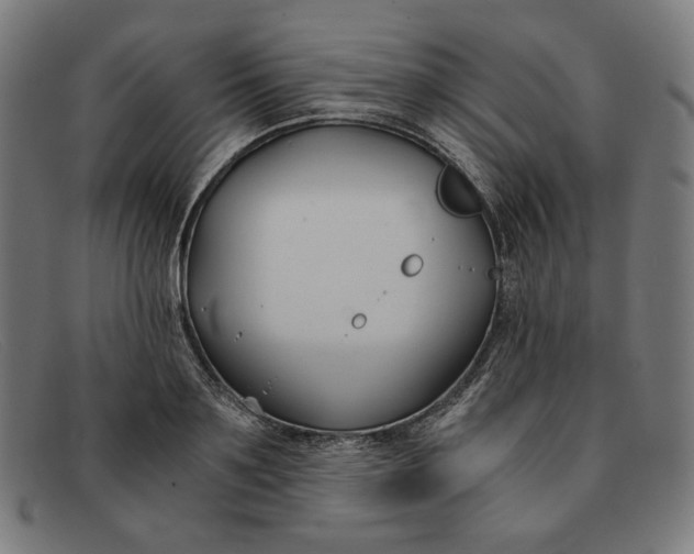 X0000091300891200708311334