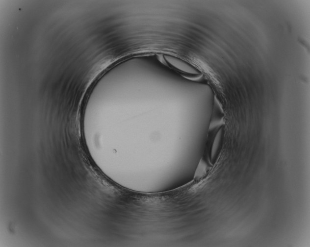 X0000091300892200708311334