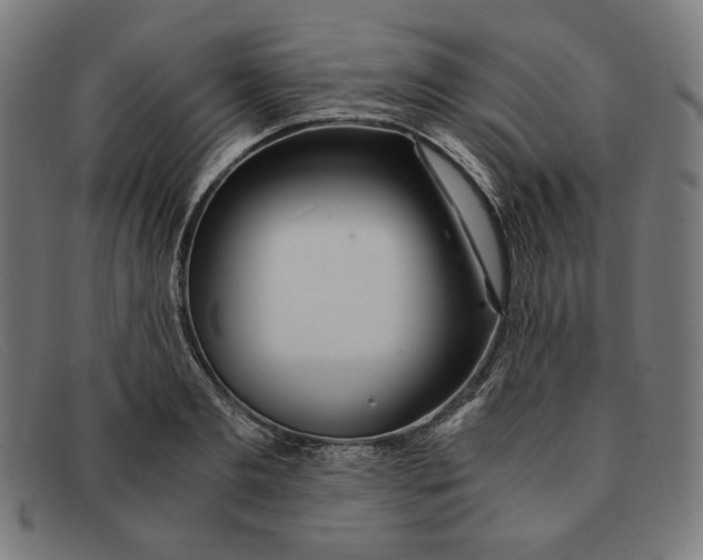 X0000091300893200708311334