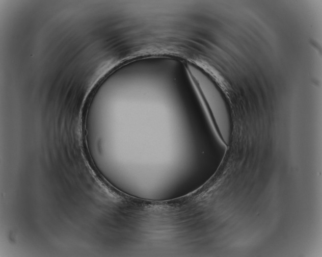 X0000091300894200708311334