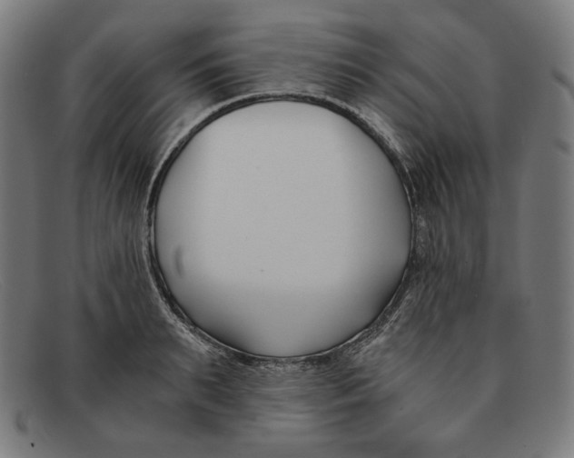 X0000091300895200708311334