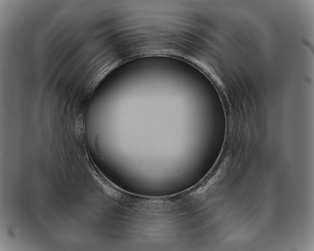 X0000091300897200708311334