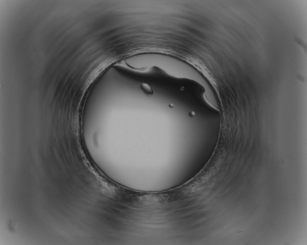 X0000091300898200708311334