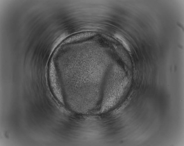 X0000091300899200708311334