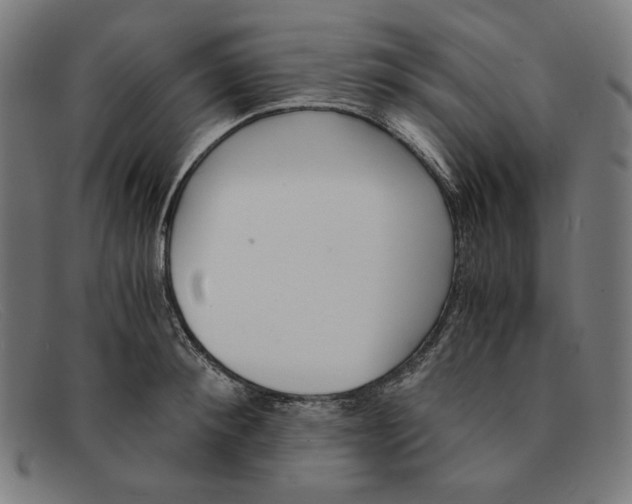 X0000091300900200708311334