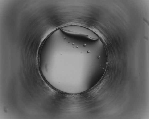 X0000091300902200708311334