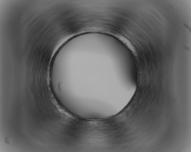 X0000091300904200708311334