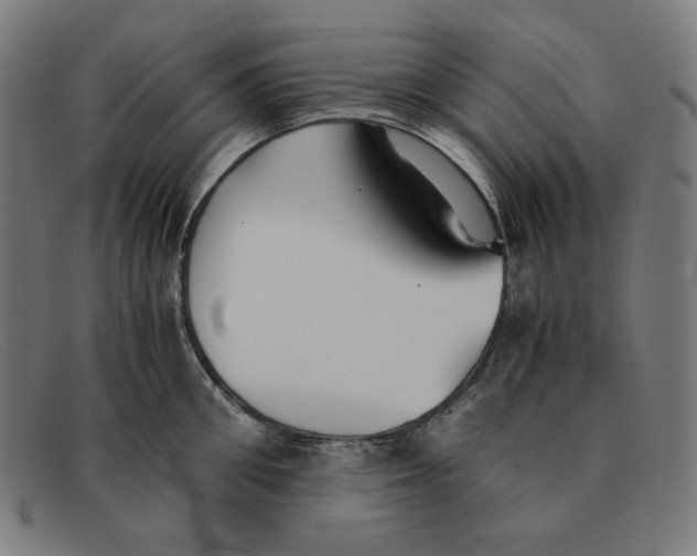 X0000091300906200708311334