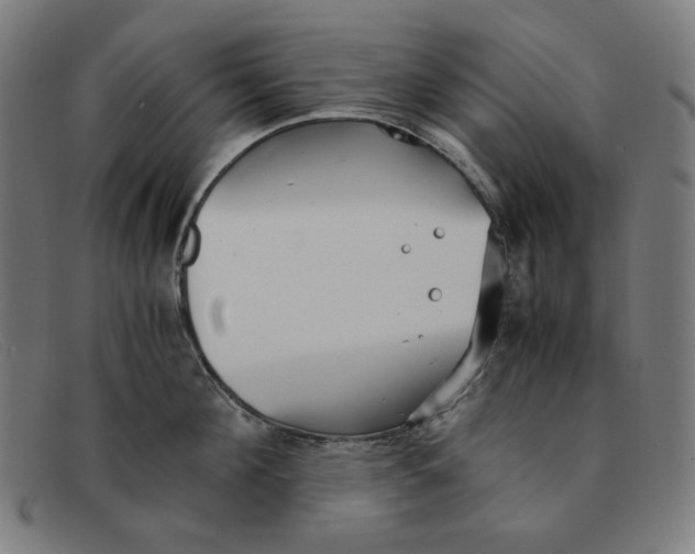 X0000091300908200708311334