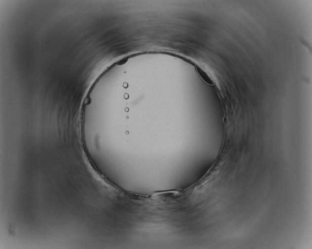 X0000091300911200708311334