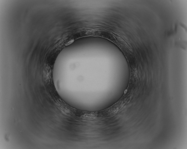 X0000091300914200708311333